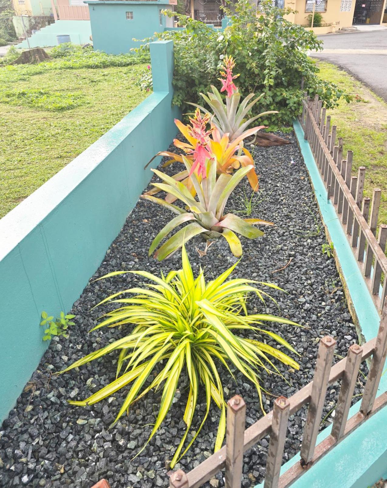 Casa Palmera Vega Baja Esterno foto